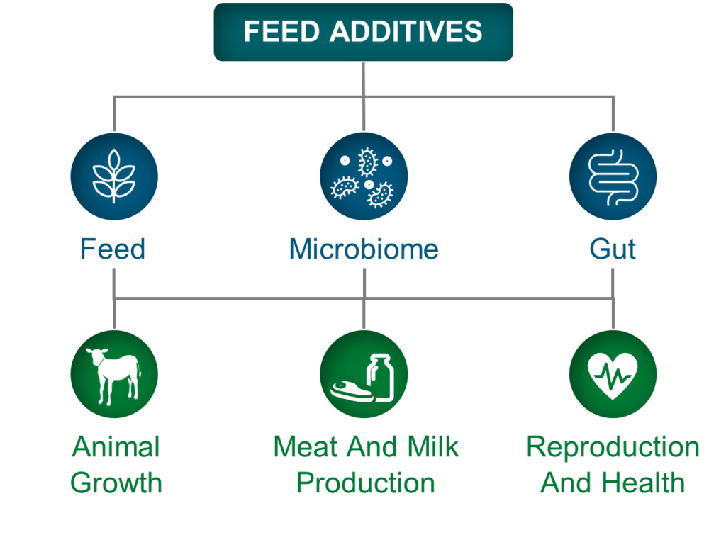 pac-facts-what-are-feed-additives-for-dairy-cows-papillon